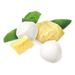 Four pieces of Cheese and herbs